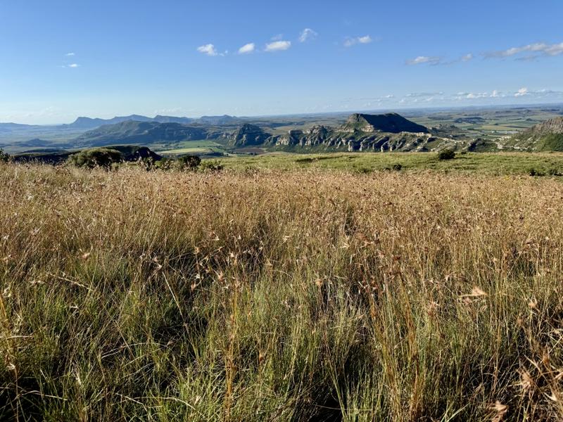 0 Bedroom Property for Sale in Fouriesburg Free State